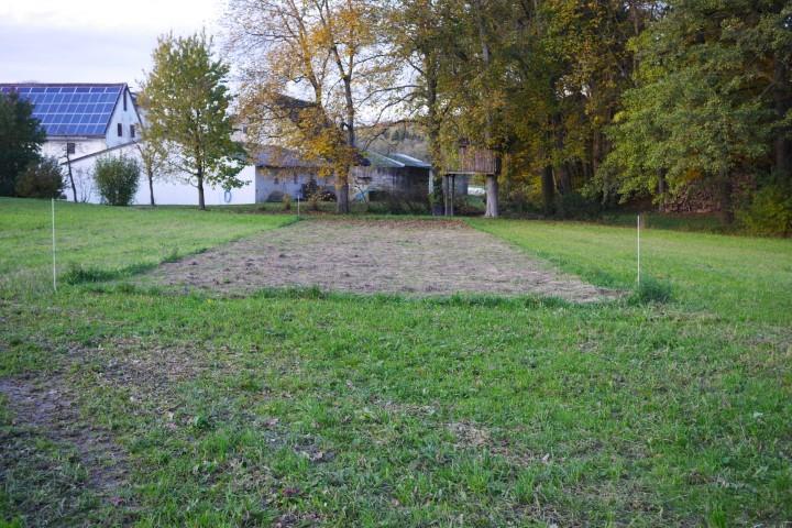Flächenbegutachtung_281020 (6) (Klein).JPG
