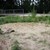 Sandarium28.jpg Sandarium28.jpg