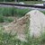 Sandarium12.jpg Sandarium12.jpg