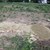 Sandarium13.jpg Sandarium13.jpg