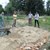 Sandarium19.jpg Sandarium19.jpg