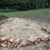Sandarium22.jpg Sandarium22.jpg