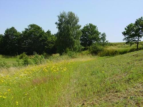 Untersuchungsfläche im Stadtgebiet Mainburg