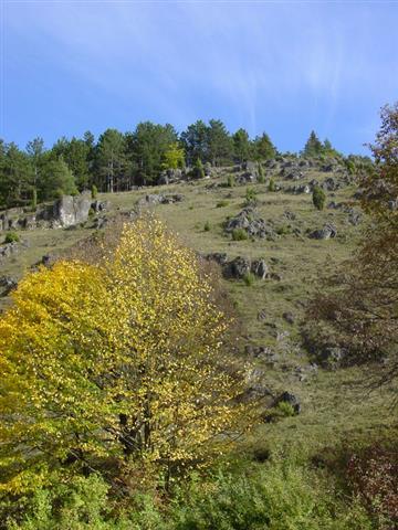 Lintlberg bei Riedenburg