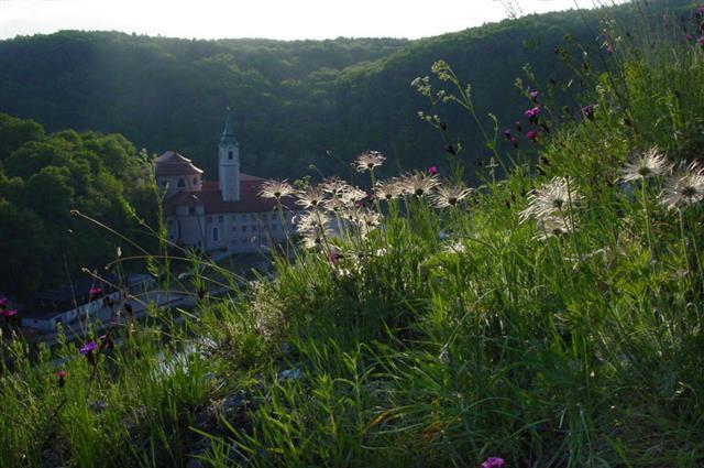 Felskopf mit Blick auf  Kloster Weltenburg