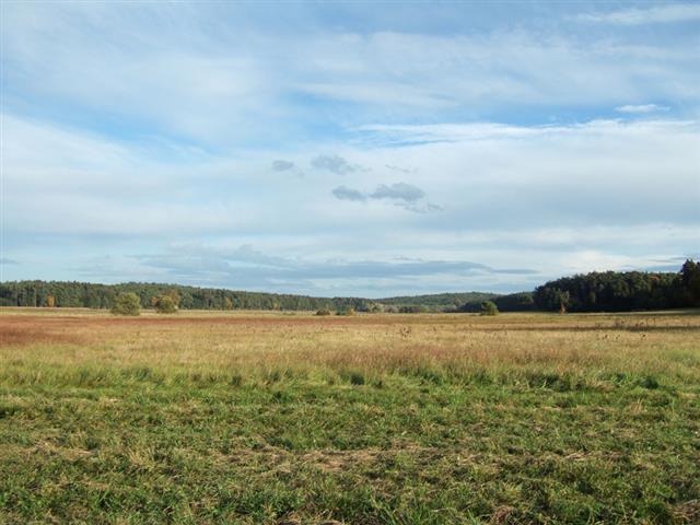 Hallertau im Oktober