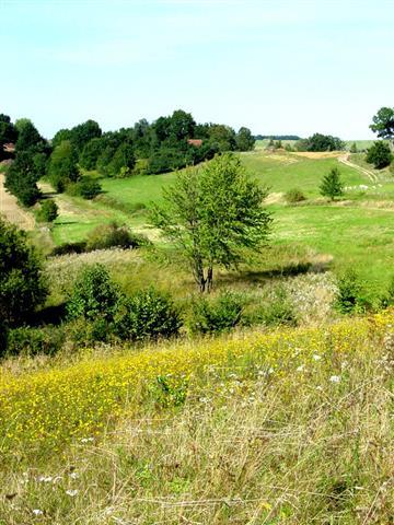 Hügellandschaft bei Sandelzhausen