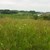 Magerwiese bei Landersdorf Magerwiese bei Landersdorf