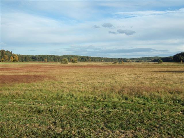 Niedermoorlandschaft bei Aiglsbach