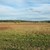 Niedermoorlandschaft bei Aiglsbach Niedermoorlandschaft bei Aiglsbach
