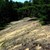 Sanddüne bei Siegenburg Sanddüne bei Siegenburg