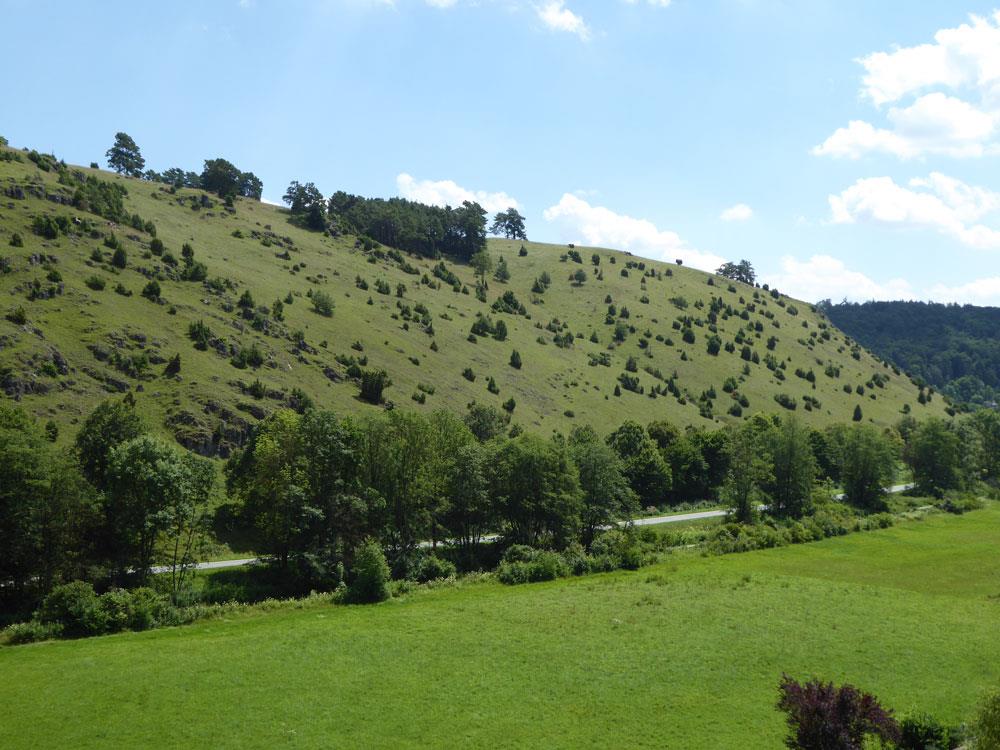 Wacholderheide Lintlberg in Riedenburg