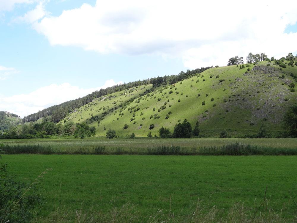 Wacholderheide Lintlberg in Riedenburg2.jpg