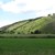Wacholderheide Lintlberg in Riedenburg2.jpg Wacholderheide Lintlberg in Riedenburg2.jpg