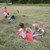 IMG_1398.JPG IMG_1398.JPG