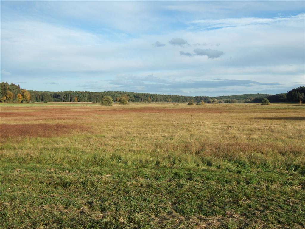 Forstmoos-weite Landschaft.JPG