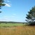 Forstmoos_Landschaft.JPG Forstmoos_Landschaft.JPG