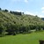 Titel_Wacholderheide Lintlberg in Riedenburg1.JPG Titel_Wacholderheide Lintlberg in Riedenburg1.JPG