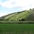 Wacholderheide Lintlberg in Riedenburg2.JPG Wacholderheide Lintlberg in Riedenburg2.JPG