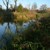 Donauaue bei Irnsing - Stadt Neustadt.JPG Donauaue bei Irnsing - Stadt Neustadt.JPG