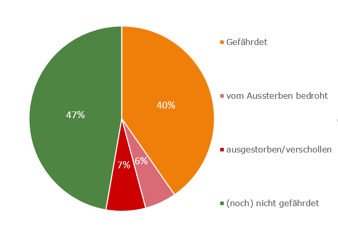 Leider haben wir keinen Alternativtext zu diesem Bild, aber wir arbeiten daran.