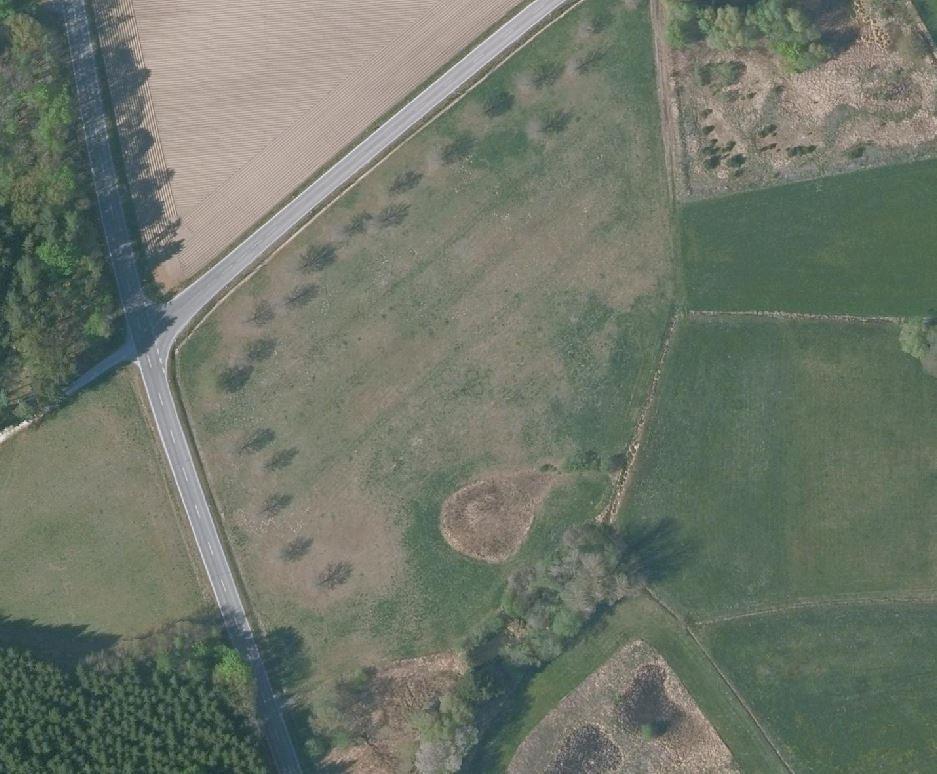 Luftbild_Oberschambach.JPG (1)